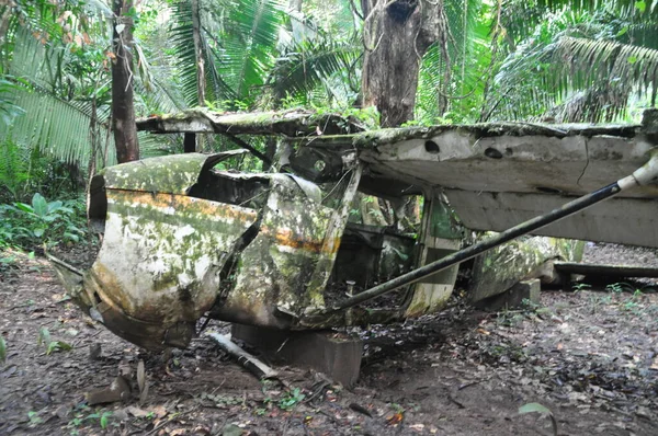 Belize ormanında bir uçak enkazı..