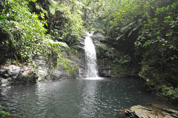 Queda Água Santuário Vida Selvagem Bacia Cockscomb Belize — Fotografia de Stock