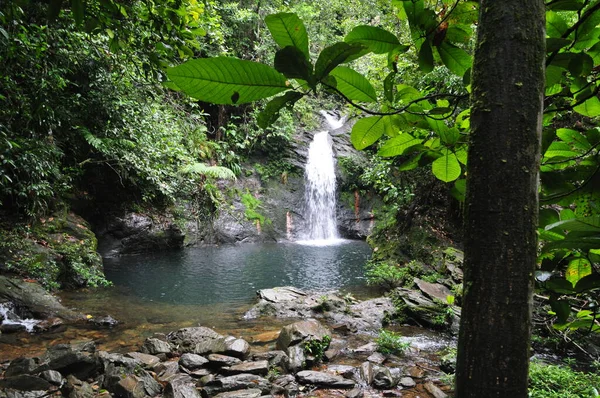 Chute Eau Dans Réserve Faunique Bassin Cockscomb Belize — Photo