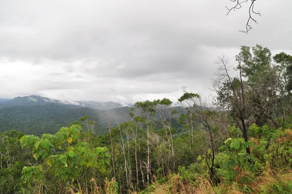 Het Cockscomb Basin Wildlife Sanctuary Belize — Stockfoto