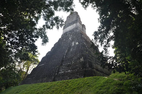 Guatemala Tikal Ulusal Parkı Nda Bir Tapınak — Stok fotoğraf