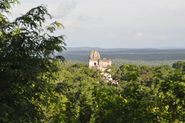 Sebuah Kuil Taman Nasional Tikal Guatemala — Stok Foto