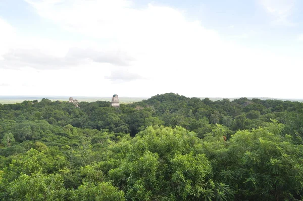 Ein Tempel Tikal Nationalpark Guatemala — Stockfoto