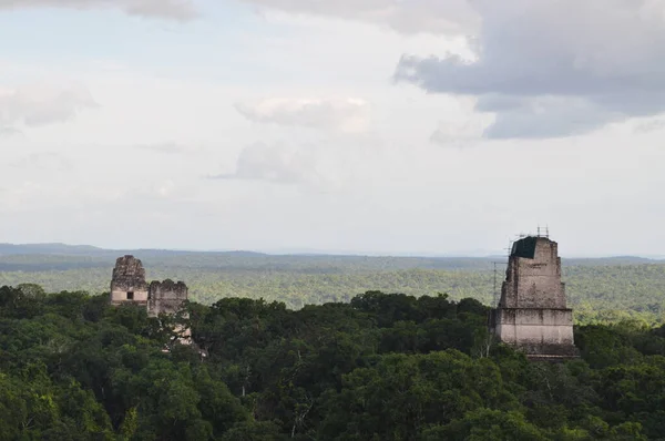 Templo Parque Nacional Tikal Guatemala — Fotografia de Stock