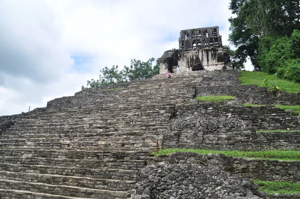 Palenque Meksika Daki Eski Maya Şehrindeki Tapınak — Stok fotoğraf