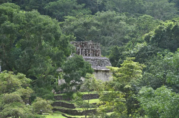 メキシコのPalenqueの旧マヤ市にある寺院 — ストック写真