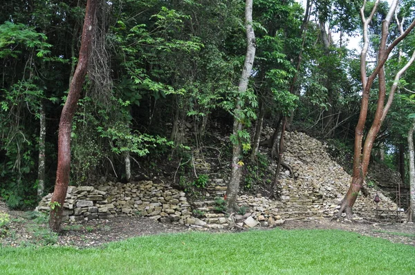 Palenque, Meksika 'daki eski Maya şehrindeki tapınak.