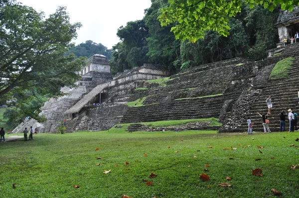 Palenque Meksika Daki Eski Maya Şehrindeki Tapınak — Stok fotoğraf