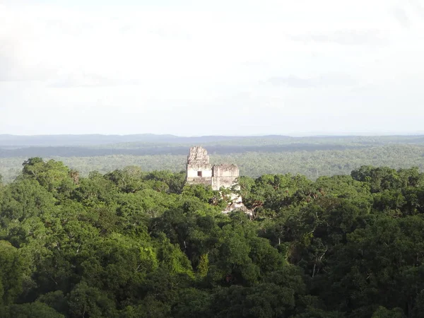 Ruínas Antiga Cidade Tikal Guatemala — Fotografia de Stock