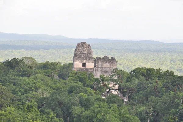 Een Tempel Tikal National Park Guatemala Rechtenvrije Stockafbeeldingen