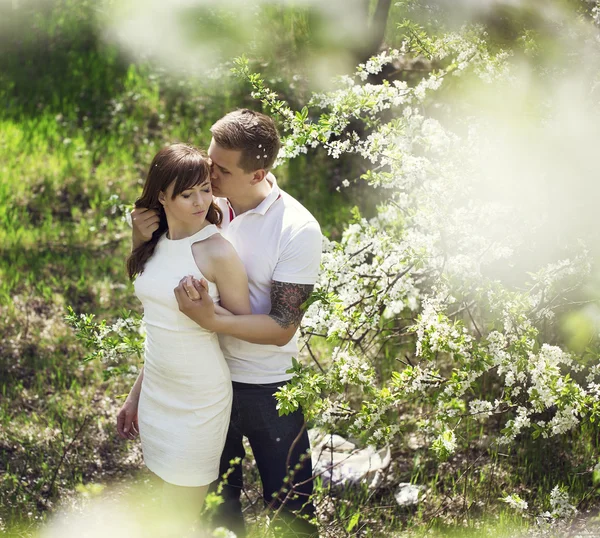 Jovens estão beijando casal sob a árvore grande com flores ao pôr do sol, conceito do primeiro encontro. Apenas casamento — Fotografia de Stock