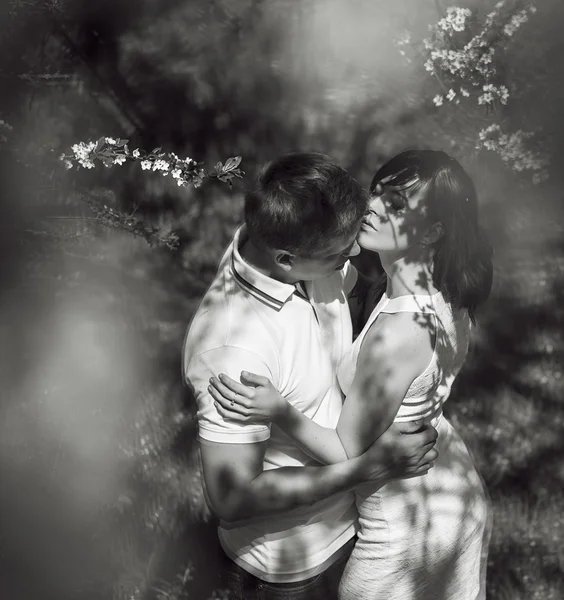 Young are kissing couple under the  big tree with flowers at sunset, concept of the first date. Just marriage. Black and white photo with shadowes ligths on they faces — Stok fotoğraf