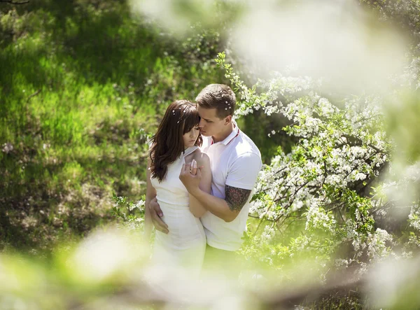 I giovani stanno baciando la coppia sotto il grande albero con fiori al tramonto, concetto del primo appuntamento. Solo matrimonio. — Foto Stock