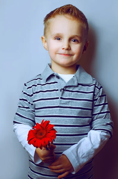 Retrato de emoção de menino bonito com flor nas mãos. Penteado perfeito . — Fotografia de Stock