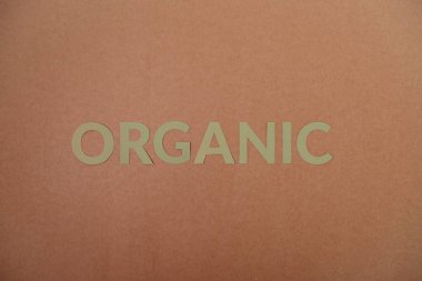 Kağıt üzerinde organik yeşil karton harfler. Ekoloji kavramı