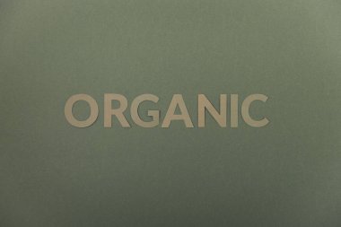 Yeşil bir arka planda organik yeşil karton harfler. Ekoloji kavramı