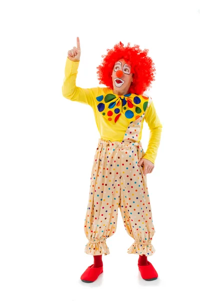 Grappige speelse clown — Stockfoto