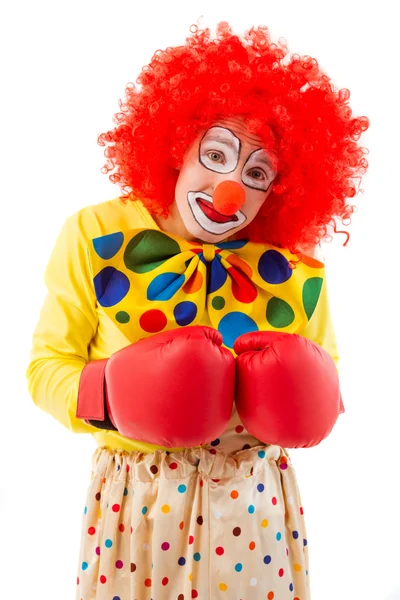 Roliga lekfulla clown — Stockfoto