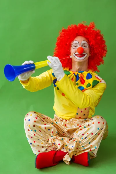 Buffo clown giocoso — Foto Stock