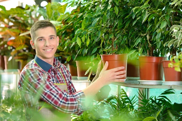 Florists — Stock Photo, Image