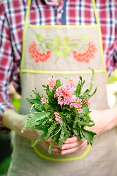 Florists — Stock Photo, Image