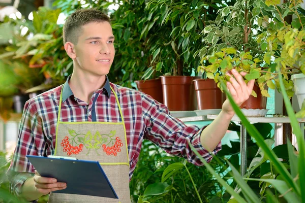 Florists — Stock Photo, Image