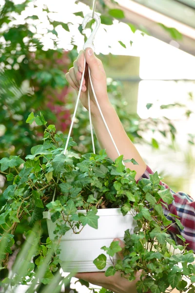 Florists — Stock Photo, Image