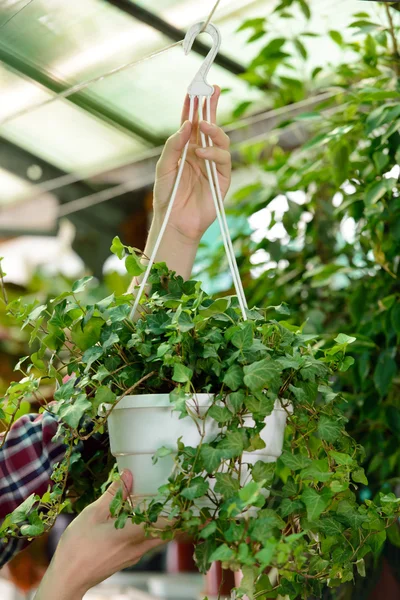 Florists — Stock Photo, Image