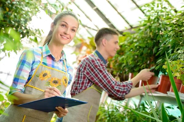 Florists — Stock Photo, Image