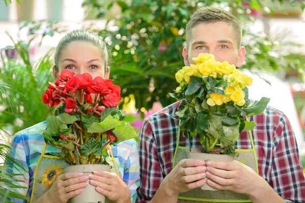 Floristas — Foto de Stock