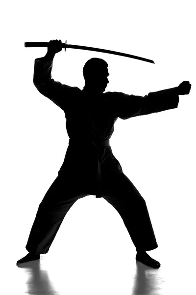 Martial arts — Stock Photo, Image