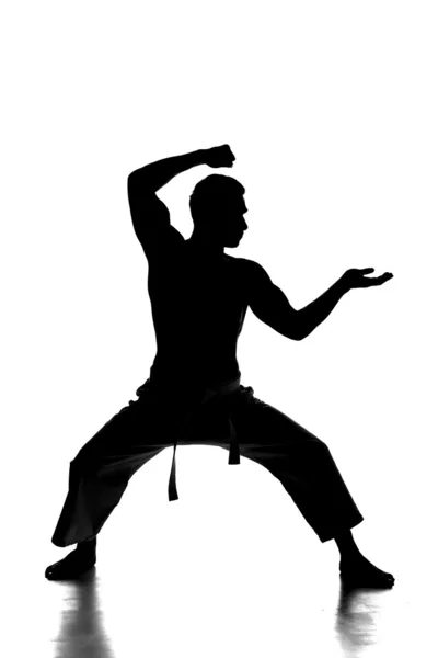 Martial arts — Stock Photo, Image