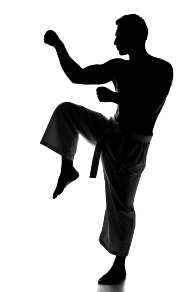 Martial arts — Stock Photo, Image