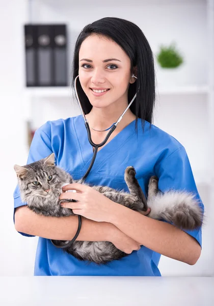 Veterinär — Stockfoto