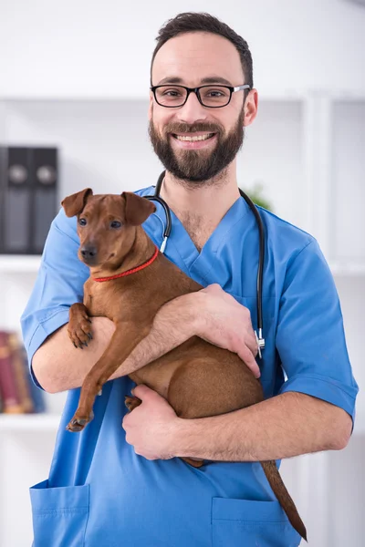 Veterinário — Fotografia de Stock