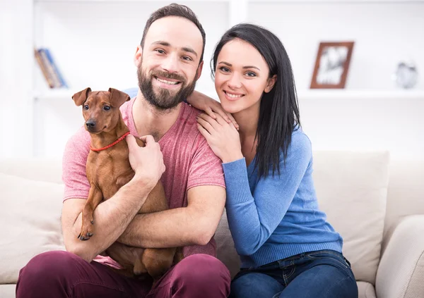 Veterinär — Stockfoto