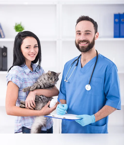 Veterinair — Stockfoto