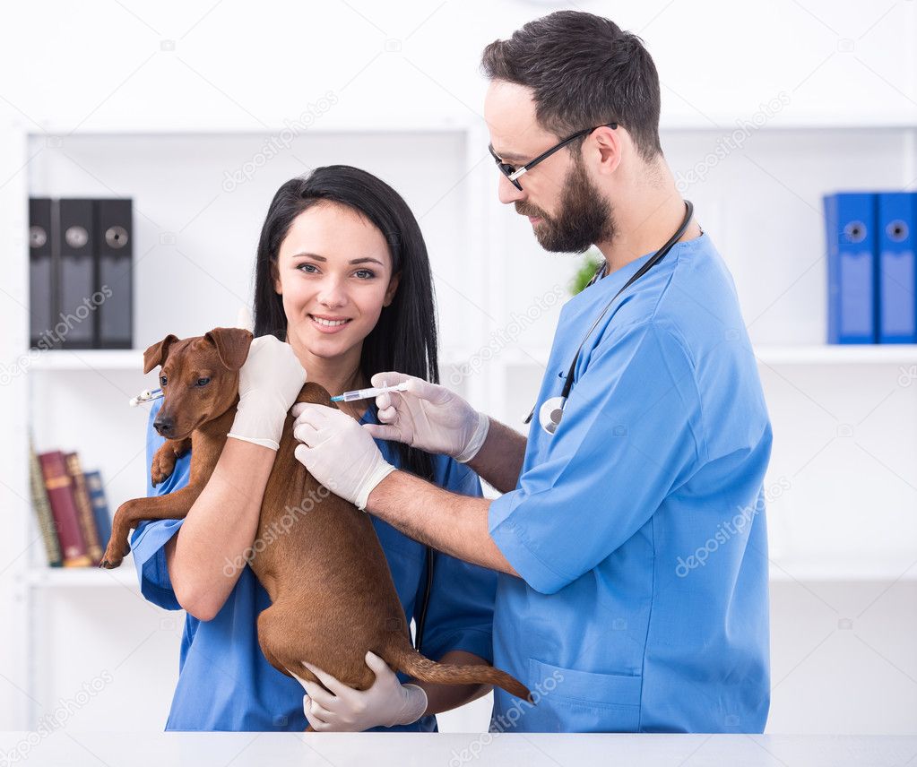 Veterinary