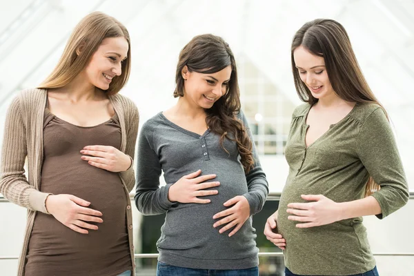 Mujeres embarazadas. — Foto de Stock