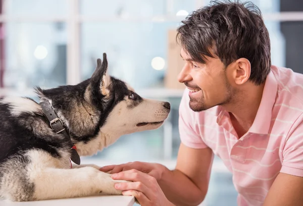 Veterinária — Fotografia de Stock