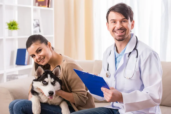 Veterinario — Foto de Stock