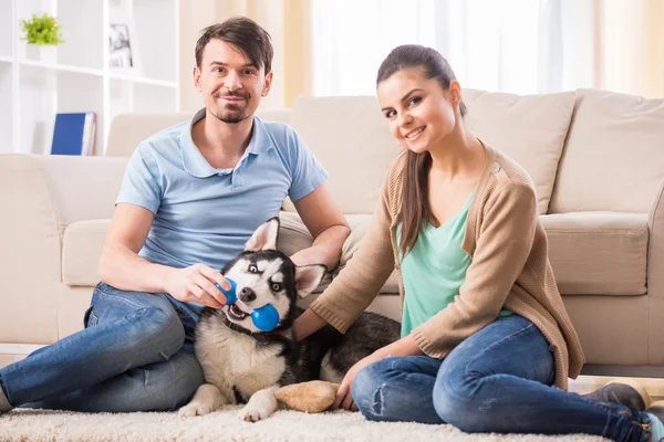 Couple with dog — Stock Photo, Image