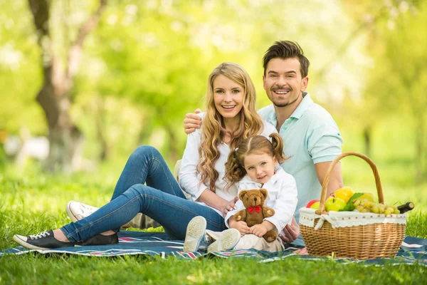 Picnic. — Foto de Stock