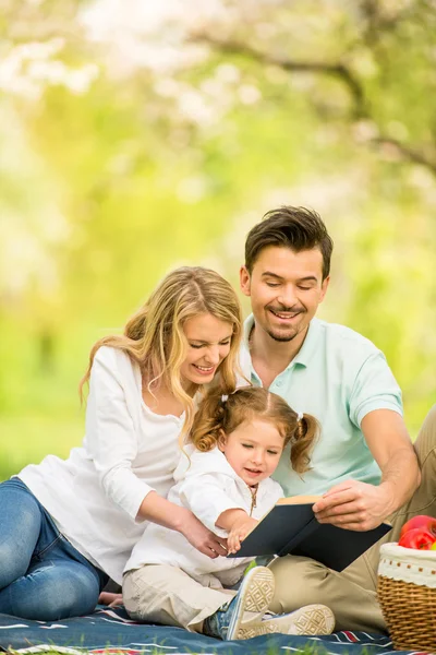 Picnic. — Foto de Stock