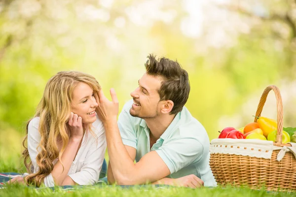 Picnic — Stock Photo, Image