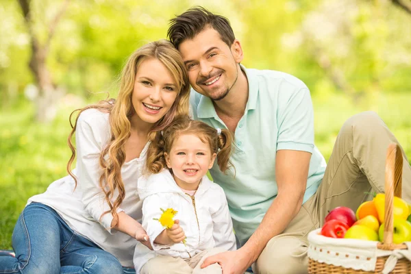 Picnic — Stock Photo, Image