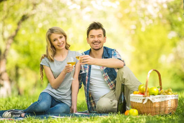 Picnic — Stock Photo, Image