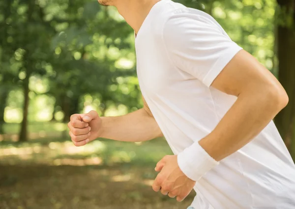 Morning workout — Stock Photo, Image