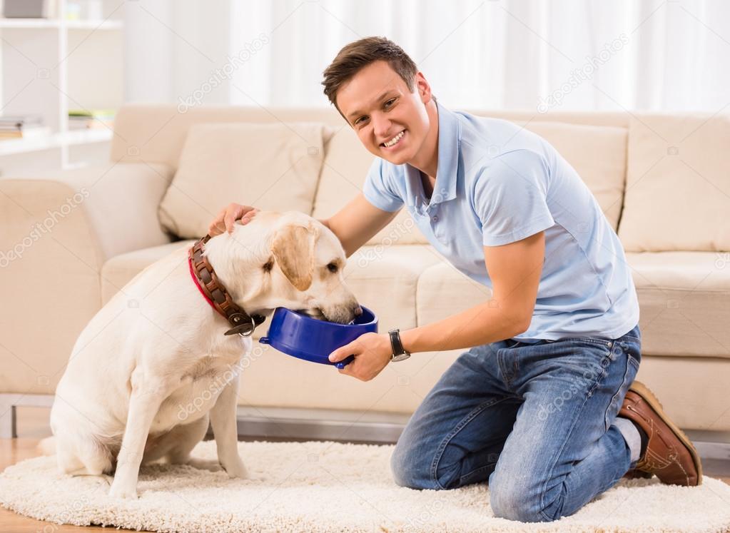 Is Free Feeding Good For Dogs