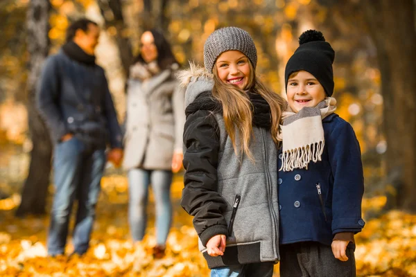 Passeggiata parco autunnale — Foto Stock